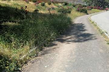 Abandono del Parque de las Mil Palmeras del Valle de Jinámar/TA.